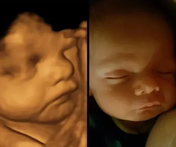 rsw 600cg truem e1708920491362