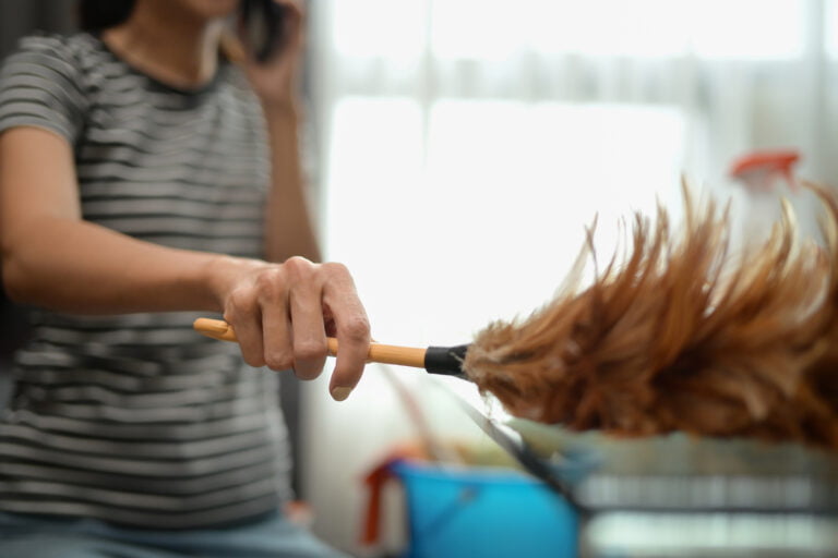 closeup young woman woman dusting shelf cleaning 2024 04 26 21 10 41 utc