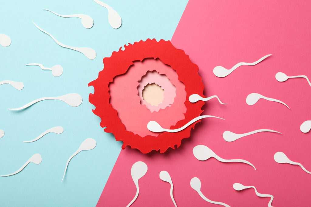Ovulation Induction 40 ovulation induction